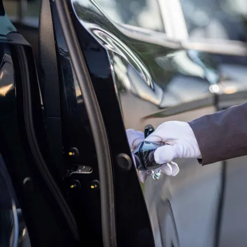 Thank You For Choosing Us!